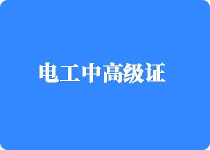 17c草名字电工中高级证